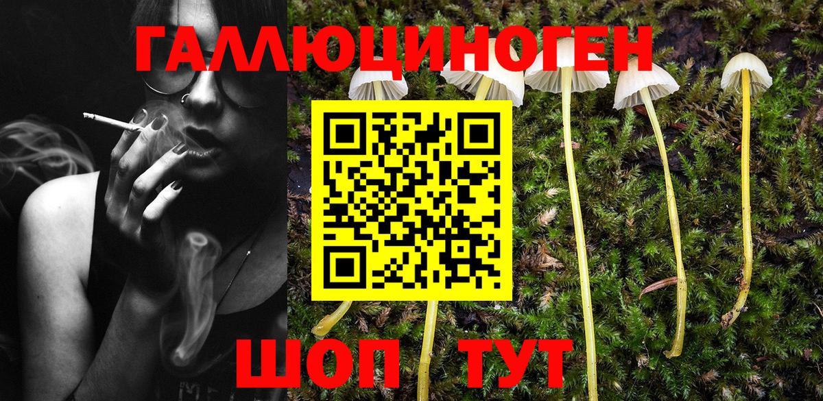 Псилоцибиновые грибы Magic Shrooms Сафоново